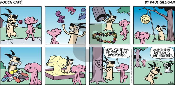 Pooch Cafe on Sunday June 3, 2018 Comic Strip