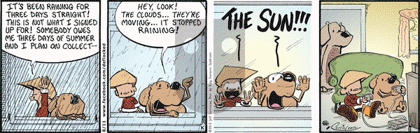 DeFlocked on Saturday August 11, 2012 Comic Strip