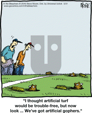 In the Bleachers on Tuesday May 31, 2016 Comic Strip