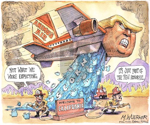 Matt Wuerker on Friday November 16, 2018 Comic Strip