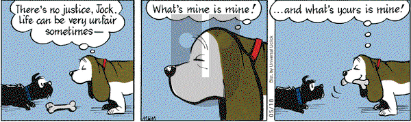 Fred Basset on Tuesday May 18, 2010 Comic Strip