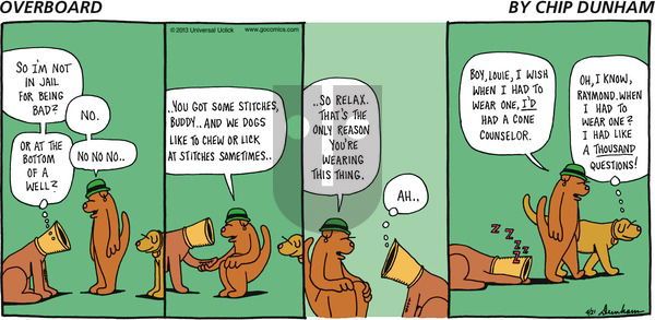 Overboard on Sunday April 21, 2013 Comic Strip