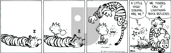 Calvin and Hobbes - Saturday November 11, 1989 Comic Strip
