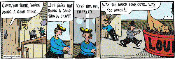 Overboard - Wednesday January 15, 2020 Comic Strip