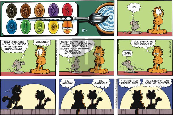 Garfield on Sunday January 18, 2009 Comic Strip