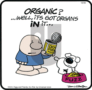 Ziggy on Wednesday December 30, 2015 Comic Strip