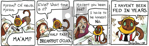 Breaking Cat News on Tuesday January 30, 2018 Comic Strip