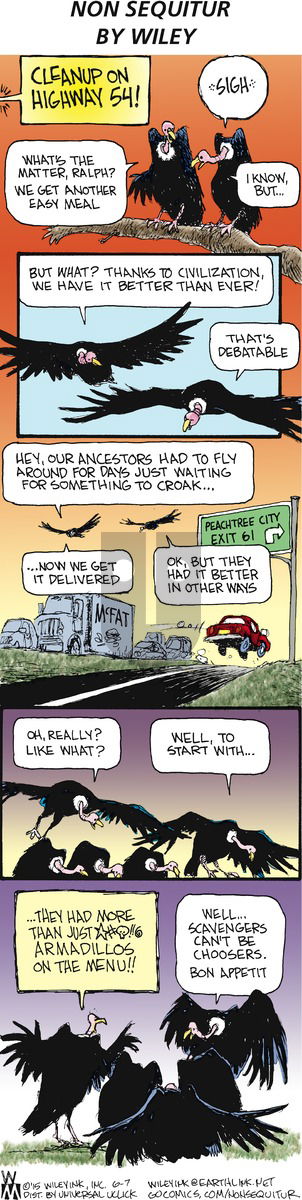 Non Sequitur - Sunday June 7, 2015 Comic Strip
