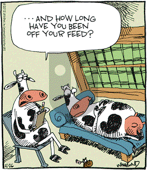 Reality Check on Saturday May 26, 2012 Comic Strip
