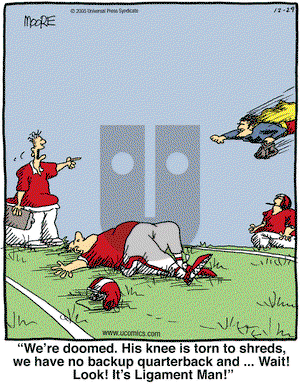 In the Bleachers on Thursday December 29, 2005 Comic Strip