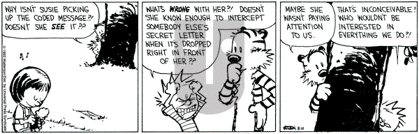 Calvin and Hobbes on Tuesday August 10, 1993 Comic Strip