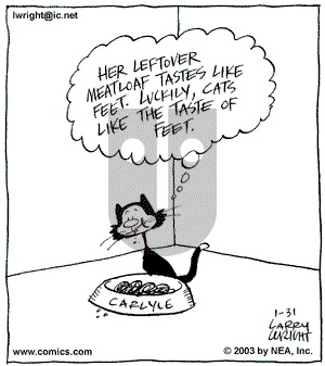 Kit 'N' Carlyle on Friday January 31, 2003 Comic Strip