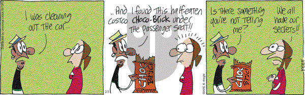 The Knight Life on Wednesday February 3, 2016 Comic Strip