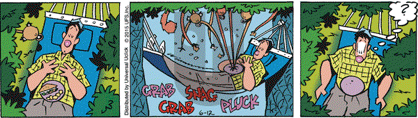 Rose is Rose on Friday June 12, 2015 Comic Strip