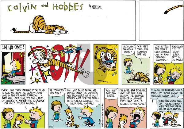 Calvin and Hobbes on Sunday October 15, 1989 Comic Strip