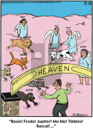 Close to Home on Monday August 28, 2023 Comic Strip