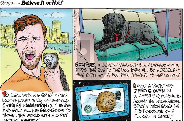 Ripley's Believe It or Not on Sunday March 22, 2020 Comic Strip