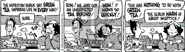 Rose is Rose on Wednesday March 17, 1999 Comic Strip