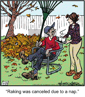 Marmaduke on Tuesday November 27, 2012 Comic Strip
