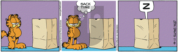 Garfield on Saturday November 6, 2004 Comic Strip