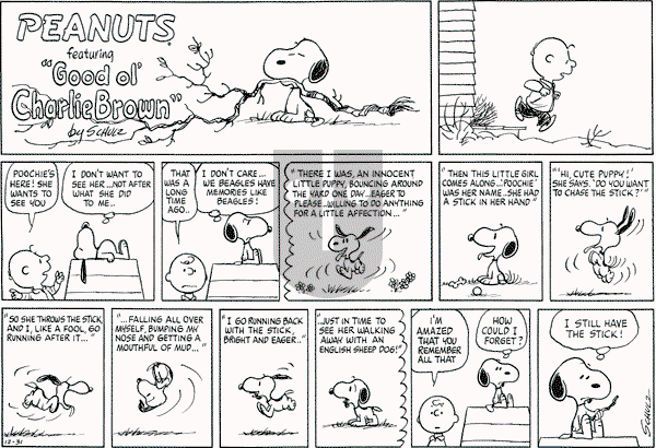 Peanuts - Sunday December 31, 1972 Comic Strip