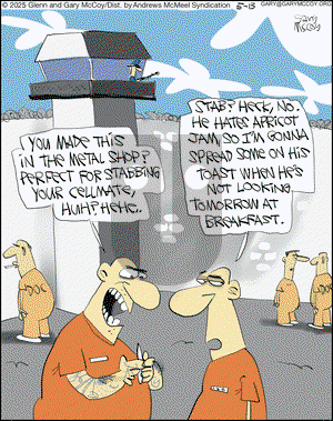 The Flying McCoys on Tuesday May 13, 2025 Comic Strip
