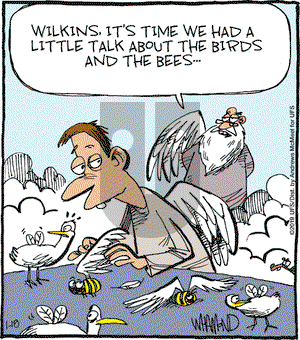 Reality Check on Friday January 18, 2019 Comic Strip