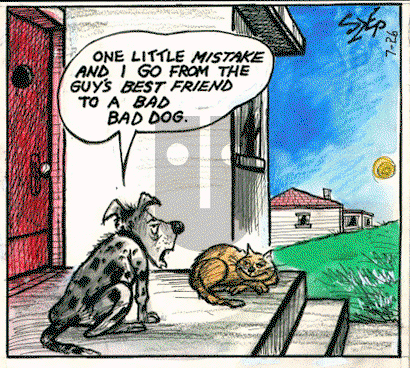 Today's Szep on Wednesday November 16, 2022 Comic Strip