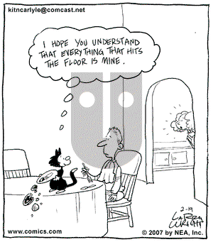 Kit 'N' Carlyle on Monday February 19, 2007 Comic Strip