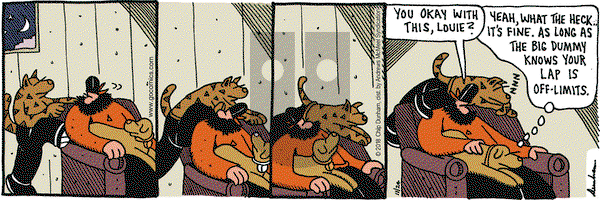 Overboard on Saturday November 24, 2018 Comic Strip