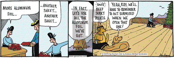Overboard - Friday December 1, 2023 Comic Strip