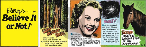 Ripley's Believe It or Not on Sunday May 18, 2014 Comic Strip
