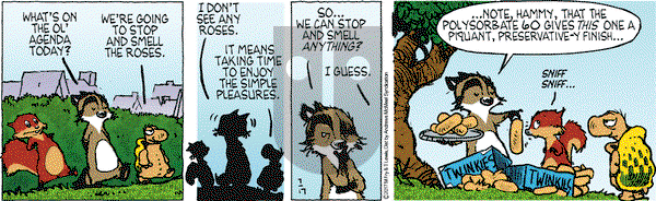 Over the Hedge on Monday July 17, 2017 Comic Strip