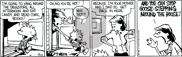 Calvin and Hobbes - Saturday September 6, 1986 Comic Strip