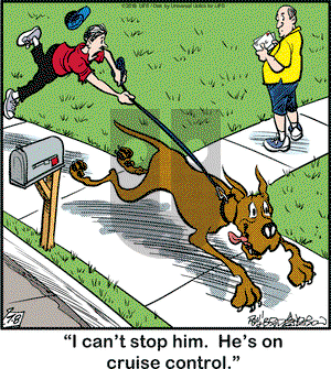 Marmaduke on Friday July 8, 2016 Comic Strip
