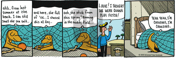 Overboard on Saturday June 6, 2009 Comic Strip