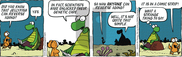 Sherman's Lagoon - Tuesday June 6, 2023 Comic Strip