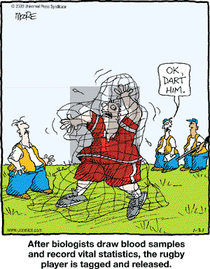 In the Bleachers on Tuesday January 21, 2003 Comic Strip