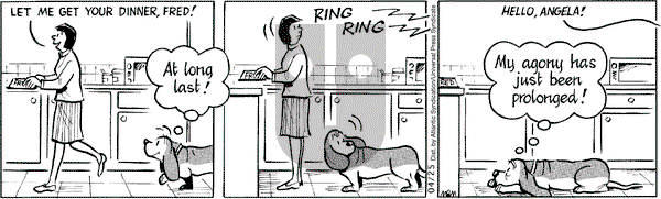 Fred Basset on Saturday April 25, 2009 Comic Strip
