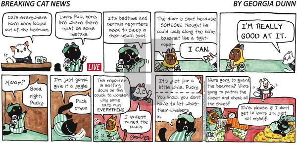 Breaking Cat News on Sunday September 9, 2018 Comic Strip