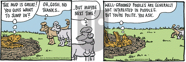 Overboard - Thursday May 30, 2024 Comic Strip