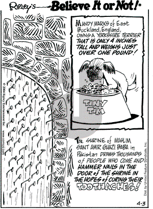 Ripley's Believe It or Not on Saturday April 3, 2004 Comic Strip