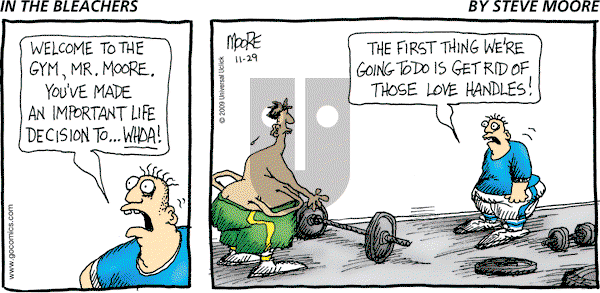 In the Bleachers on Sunday November 29, 2009 Comic Strip