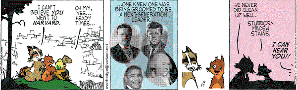 Over the Hedge on Thursday August 21, 2008 Comic Strip
