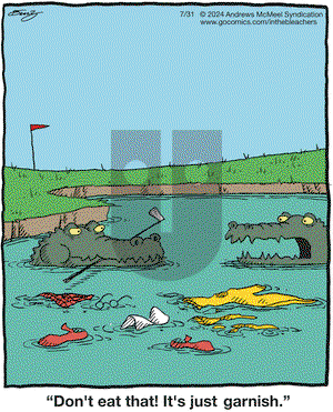 In the Bleachers - Wednesday July 31, 2024 Comic Strip