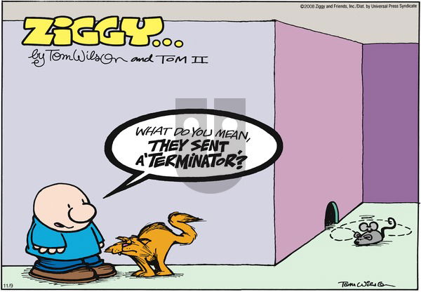 Ziggy on Sunday November 9, 2008 Comic Strip