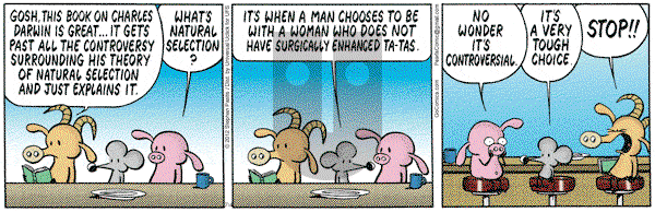Pearls Before Swine - Wednesday July 4, 2012 Comic Strip