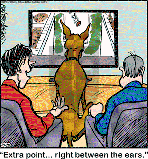 Marmaduke on Monday October 23, 2017 Comic Strip
