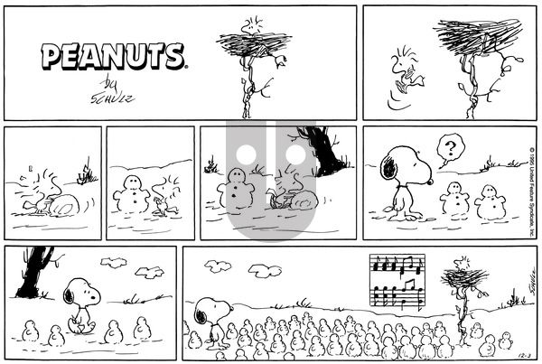 Peanuts on Sunday December 3, 1995 Comic Strip