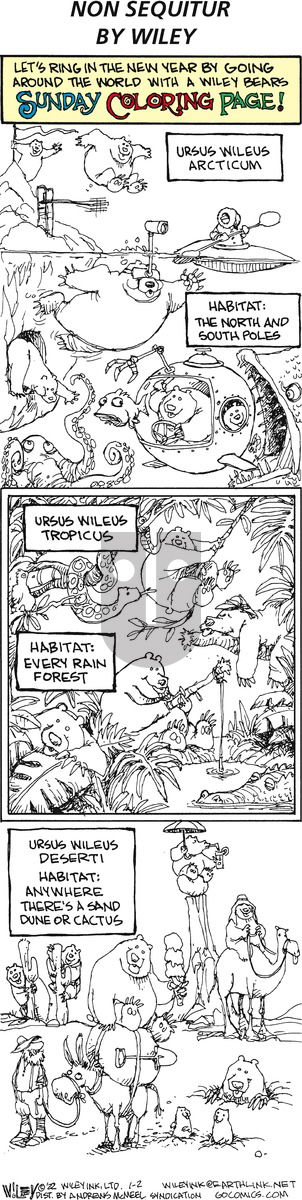 Non Sequitur - Sunday January 2, 2022 Comic Strip